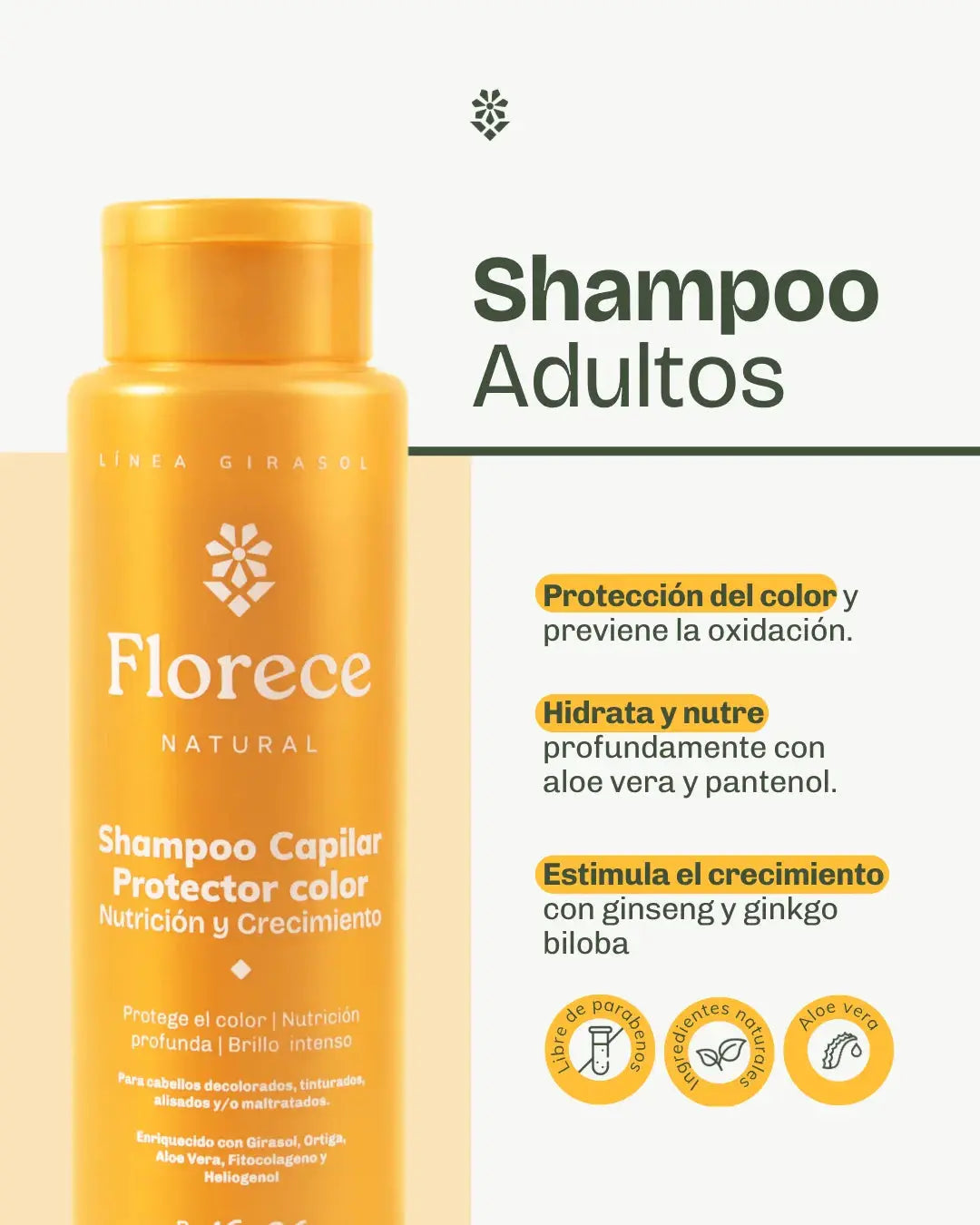 Shampoo Capilar Adultos