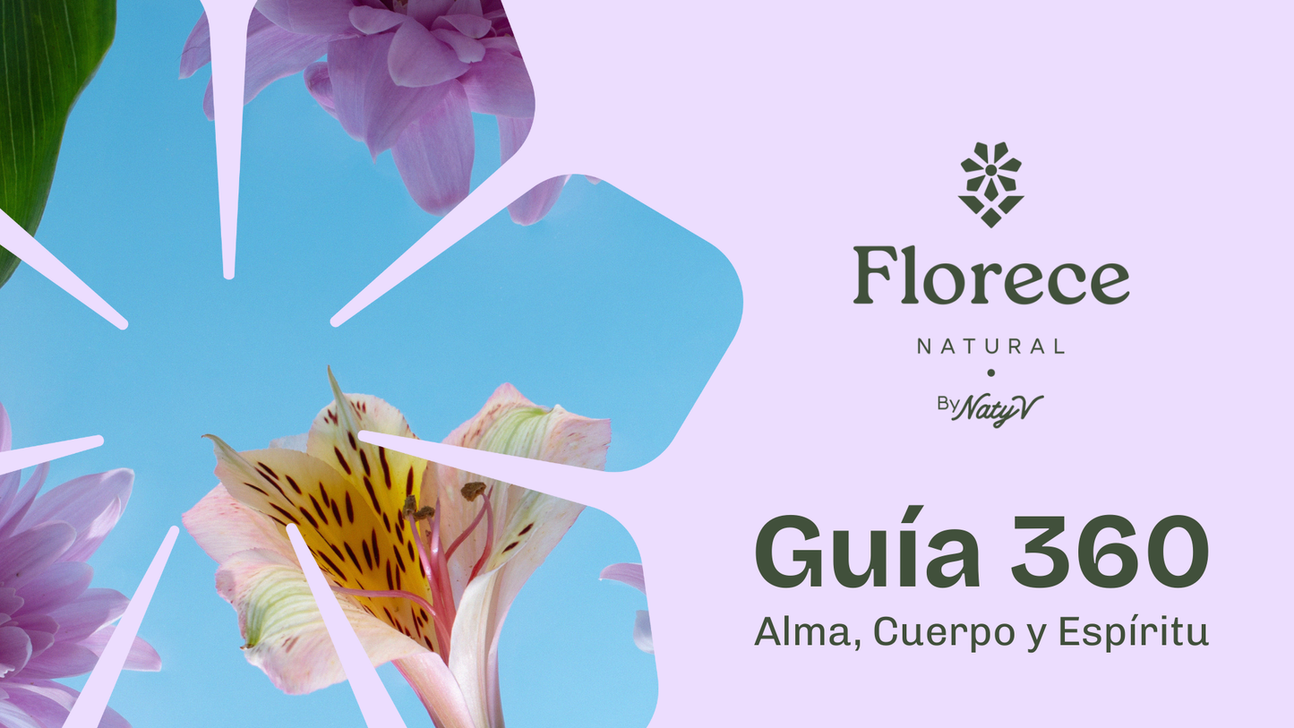 Guía 360 | Alma, cuerpo y espíritu🌻
