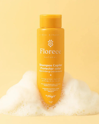 Shampoo Capilar Adultos